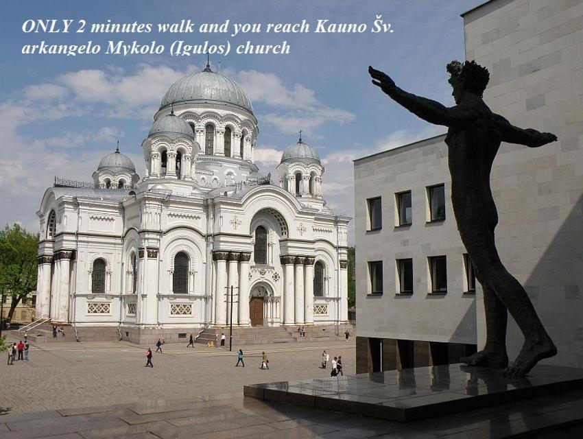 Apartamentai Kauno Centre Kaunas Kültér fotó